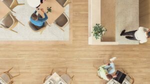 Ii Podgoricka Gimnazija Sveti Sava 60